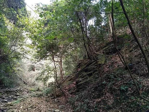 小时代官方游戏